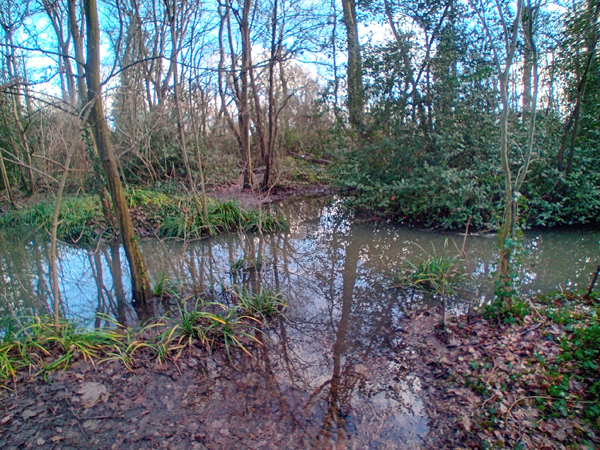 LL10 Crane flooding near Cranford Lane