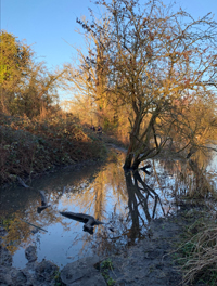 LL11 Little Britain flooding 2