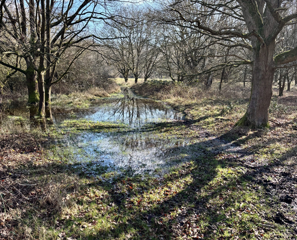 LL18 Flooded path approaching Bury Road