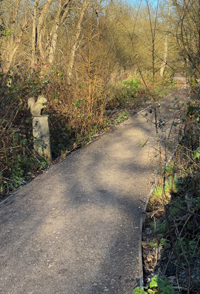 LL8 Squirrel by Hogmill path