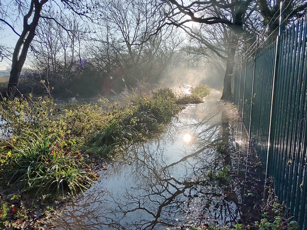 LL9 Loop path flooded near Causeway