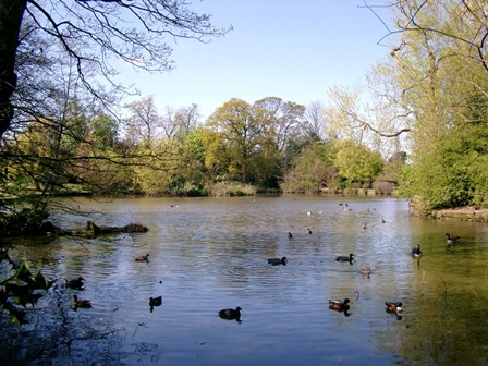 Forty Hall - Lake