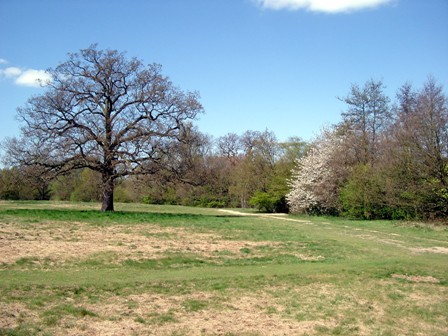 Near Turkey Brook